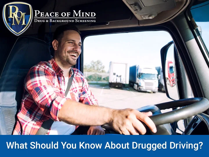 What Should You Know About Drugged Driving?