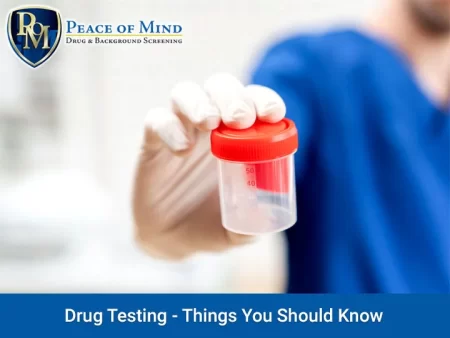 What You Need To Know About Drug Testing